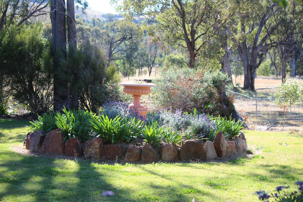 Rosebank Homestead And Farmstay Dalby Exterior foto